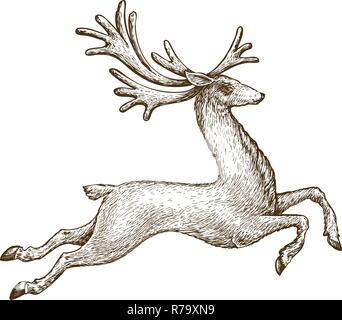 Laufender Hirsch. Gezeichnet vintage Skizze Vector Illustration Stock Vektor