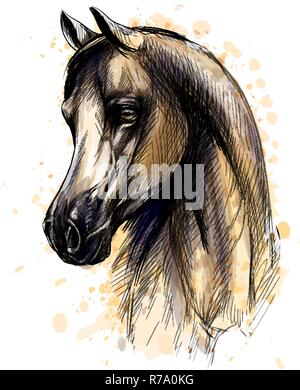 Pferdekopf Portrait von Splash von Aquarellen. Hand Skizze gezeichnet Stock Vektor