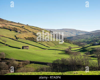 Yorkshire Dales Ackerland aus der Pennine Way langen Wanderweg in der Nähe von Keld in North Yorkshire, UK gesehen, am 19. April 2018. Stockfoto