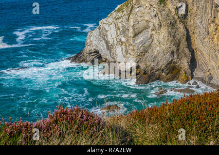 Detail der Küste Klippen in Bizkaia, Baskenland Stockfoto