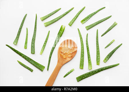 Aloe Vera auf weißem Hintergrund. Stockfoto