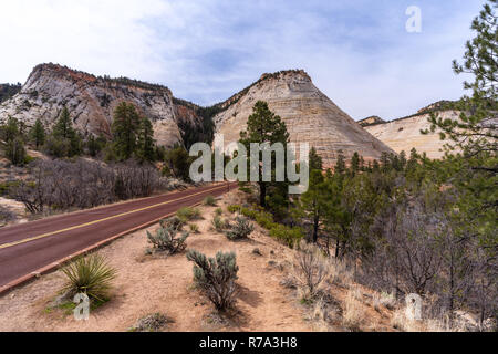 Checkerboard Mesa am Zion National Park Stockfoto