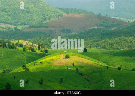 Hohen Blick auf Reis Terrassen Mae Chaem, Chiang Mai, Nordthailand Stockfoto