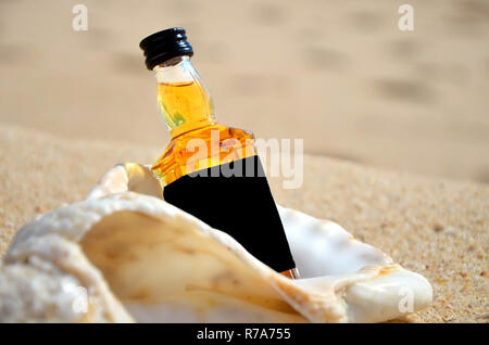 Kleine Flaschen Whisky in den großen Ozean shell stand auf dem Sand Nahaufnahme. Luxus alkoholische Party im nautischen Stil an der Küste des Atlantik Ocea Stockfoto