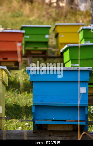 Nahaufnahme von bunt Rot, Blau, Gelb und Grün Bienenstöcke auf einem grasbewachsenen Hügel Stockfoto