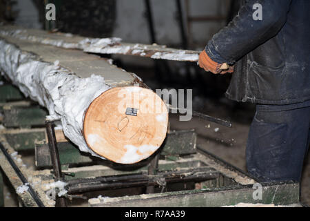 Schneiden Protokolle auf den Brettern. Im Winter wird ein Baum. Holzverarbeitung. Stockfoto