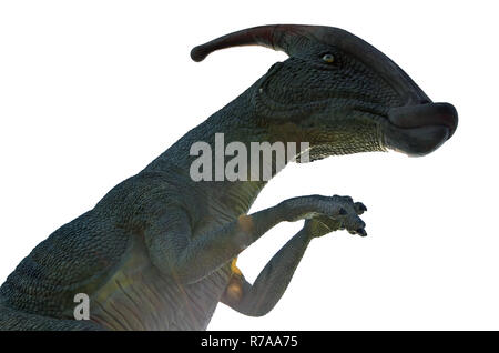 Saurier Parasaurolophus auf einem weißen Hintergrund. Isolieren Stockfoto