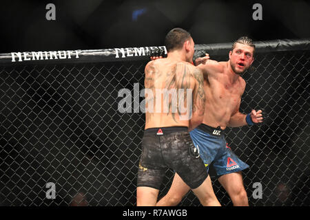 Ontario, Kanada. 9. Dez 2018. Federgewicht BRIAN ORTEGA gegen MAX HOLLOWAY bei UFC 231 bei der Scotiabank Mitte in Toronto, 08. Dezember 2018. Quelle: Igor Vidyashev/ZUMA Draht/Alamy leben Nachrichten Stockfoto