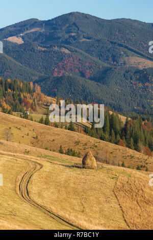 Heuschober auf schönen Herbst Landschaft in den Bergen der Karpaten im sonnigen Herbsttag, Ukraine Stockfoto