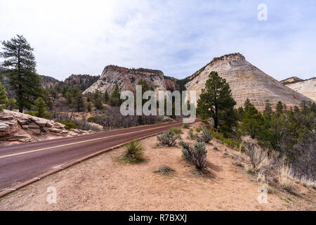 Checkerboard Mesa am Zion National Park Stockfoto