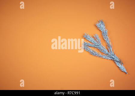 Filiale Weihnachtsbaum auf einem farbigen Hintergrund, ein Platz für Text Stockfoto