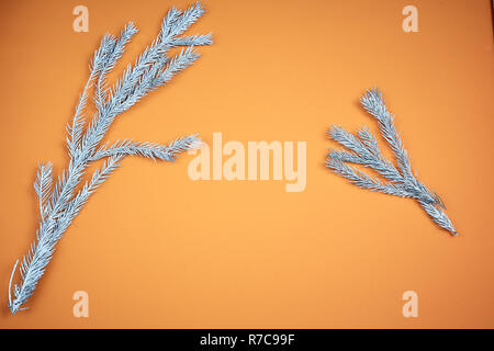 Filiale Weihnachtsbaum auf einem farbigen Hintergrund, ein Platz für Text Stockfoto