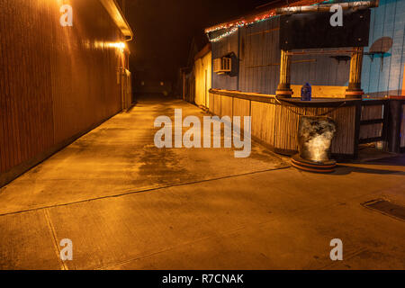 Die gelbe Leuchte leuchtet eine leere Gasse in der Nacht, Kapa'a, Kaua'i, Hawai'i Stockfoto