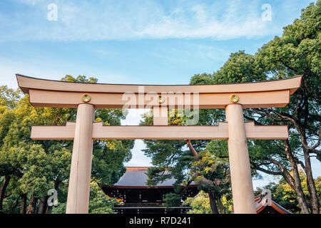 Meiji Jingu-Schrein Torii-tor in Tokio, Japan. Stockfoto