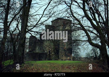 Crookston Castle Pollok Bereich der süd-westlich von Glasgow, Schottland, in der die schottische Königin Mary unter einer Eibe verheiratet war. Stockfoto