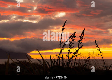 Sonnenuntergang in Big Bay, West Coast, Neuseeland Stockfoto