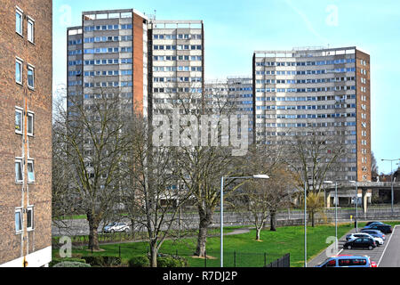 Mehrstöckige Hochhaushäuser, Wohnhäuser und Wohnungen, die Teil des stadtwohnsitzes hinter Winterbäumen sind, in der Nähe des Stadtzentrums Southend an der Sea Essex England UK Stockfoto