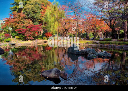 Japanische Ahorne biegen Sie Farbe in Tokyo Japan Stockfoto