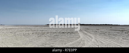 Die Kudiakam Pan im Nxai Pans Nationalpark, Botswana Stockfoto