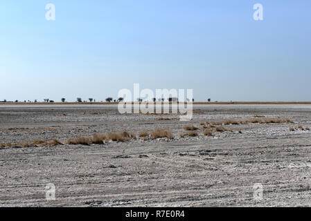 Die Kudiakam Pan im Nxai Pans Nationalpark, Botswana Stockfoto