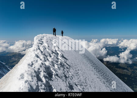 Alpinisten auf die Aiguille de Bionnassay Gipfel - extrem schmalen Schneegrat über den Wolken, Mont Blanc Massiv, Frankreich Stockfoto