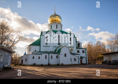 Theodore Kathedrale an sonnigen Herbsttag im Puschkin, St. Petersburg, Russland Stockfoto