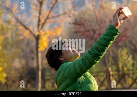 Glückliche Frau nimmt selfi mit Telefon, Herbst Stockfoto