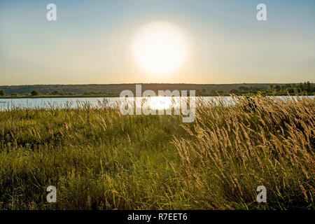 Eine wüste Landschaft mit einem großen ungefilterte Sonne, ein See in der Ferne und Coastal Vegetation im Vordergrund. Stockfoto