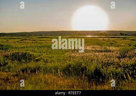 Eine wüste Landschaft mit einem großen ungefilterte Sonne, ein See in der Ferne und Coastal Vegetation im Vordergrund. Stockfoto