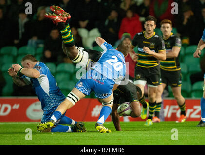 Northampton, Großbritannien. 8. Dezember 2018. Api Ratuniyarawa von Northampton Saints wird von Huw Taylor während des Europäischen Rugby Challenge Cup Match zwischen Northampton Saints und Drachen in Angriff genommen. Andrew Taylor/Alamy leben Nachrichten Stockfoto