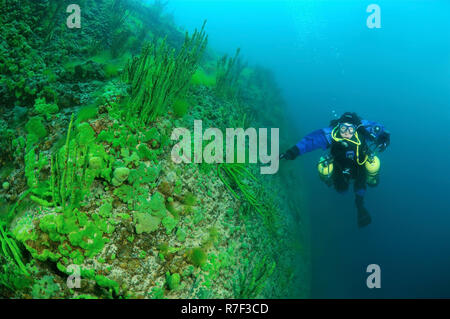 Scuba Diver im Baikalsee, Sibirien, Russland Stockfoto