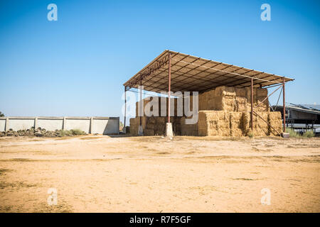 Das Heu Lagerschuppen voller Ballen Heu auf dem Bauernhof, landwirtschaftliche, Israel Stockfoto