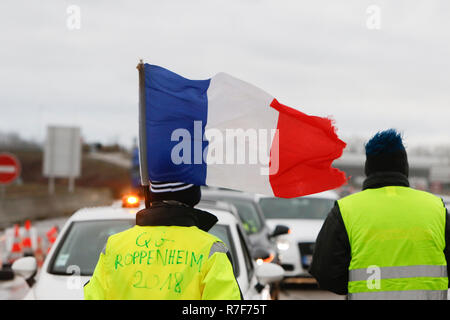 Roppenheim, Frankreich. 08 Dez, 2018. Eine Demonstrantin blockiert den Verkehr, die eine französische Flagge. Rund 100 Französische gelbe Weste Aktivisten protestierten auf einer Straße in der Nähe der Französisch Deutsch Grenzübergang bei Roppenheim gegen die französische Regierung. Sie wurden von einigen Aktivistinnen aus der Deutschen rechten Gruppen unterstützt. Sie waren Teil der grösseren gelbe Weste Protestbewegung in Frankreich, die in den vergangenen 4 Wochen in ganz Frankreich protestiert. Quelle: Michael Debets/Pacific Press/Alamy leben Nachrichten Stockfoto