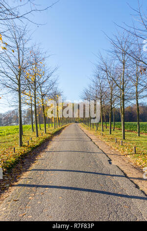 Lange gerade verlassenen mit Bäumen gesäumten Straße in die Ferne mit Wald und blauer Himmel im Hintergrund führende Stockfoto