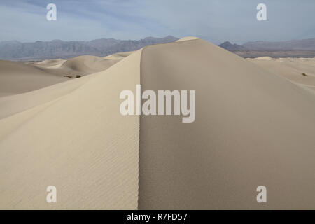 Wind ausgeblasen gemusterten Sand Ridge unter Sand dune Feld Stockfoto