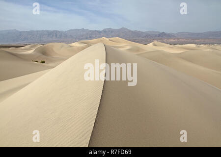 Wind ausgeblasen gemusterten Sand Ridge unter Sanddünen Stockfoto