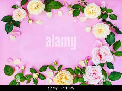 Pfingstrose Blumen und Blüten in Zusammensetzung, floral Rahmen auf einem rosa Hintergrund. Platz für Text. Stockfoto