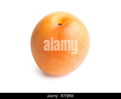 Apricot. Frische Aprikosen auf weißem Hintergrund Reif Stockfoto