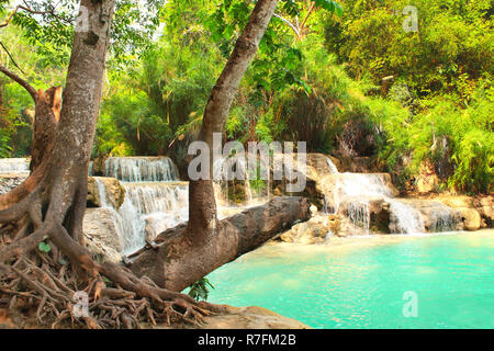 Tad Kuang Si Wasserfall im Regenwald in der Nähe von Luang Prabang, Laos Stockfoto