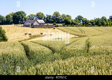 Hügelige Landschaft mit einem Feld von Weizen, einen Bauernhof und Rundballen Stroh in die Landschaft der Normandie unter einem hellen Sommer Sonnenlicht. Stockfoto