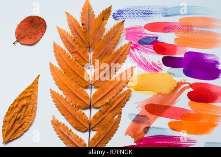Trockene Blätter im Herbst schaffen eine Abstraktion auf einem weißen Blatt Papier, die mit Farbe in verschiedenen Farben lackiert ist. Schöne und helle Abstraktion. Stockfoto