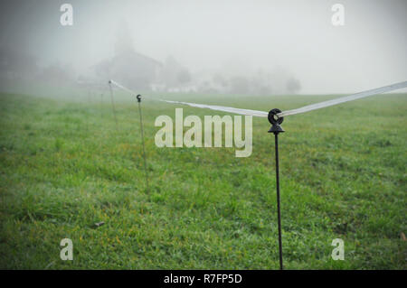 Elektrische Zäune rund um schöne Weide mit grünem Gras in der Nähe des Dorfes. Elektrische Einzäunung für die Kuh in Sicht Stockfoto