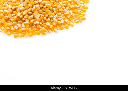 Maiskolben Saat auf weißem Hintergrund Stockfoto
