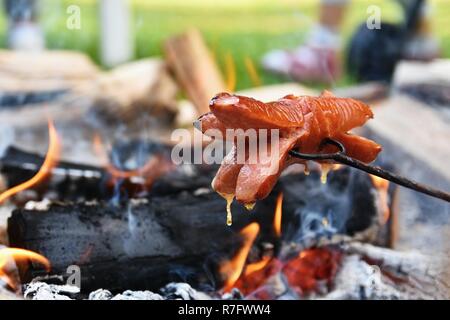 Braten Würstchen über dem Feuer. Camping in der Natur - Essen. Stockfoto