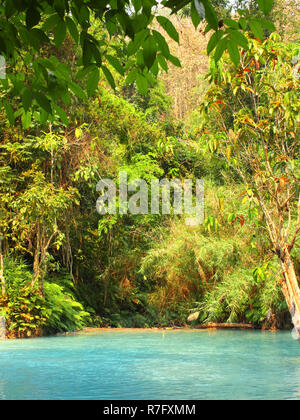 Teich in der Nähe von toTad Kuang Si Wasserfall im Regenwald, Luang Prabang, Laos Stockfoto