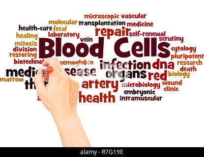 Blutzellen Wort cloud hand Konzept Schrift auf weißen Hintergrund. Stockfoto