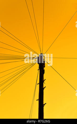 Power Comms Kabel und Telegraphenmast bei Sonnenuntergang Stockfoto