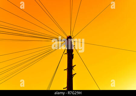 Power Comms Kabel und Telegraphenmast bei Sonnenuntergang Stockfoto