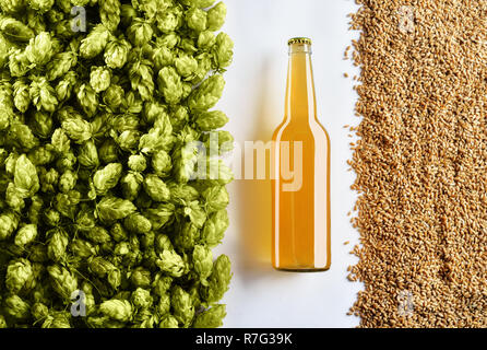 Ungefiltertes licht Bier Flasche auf weißem Hintergrund mit Hopfen und Weizen. Oben in der Ansicht. Mockup bereit für Ihr Design. Stockfoto