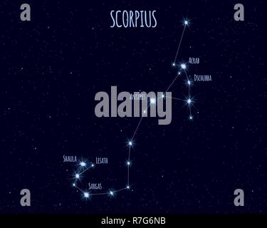 Scorpius (Skorpion) Sternbild, Vector Illustration mit den Namen der Stars gegen den Sternenhimmel Stock Vektor